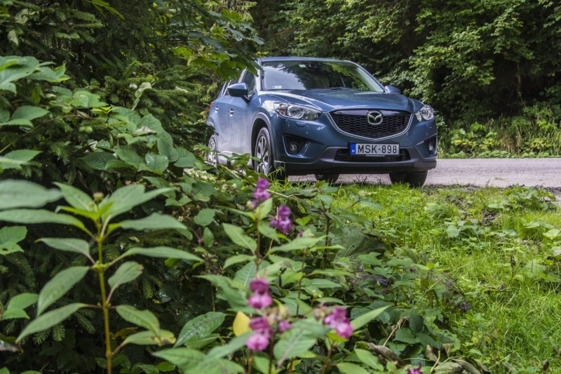 A „sógóroknál” valahogy minden nyugodtabb