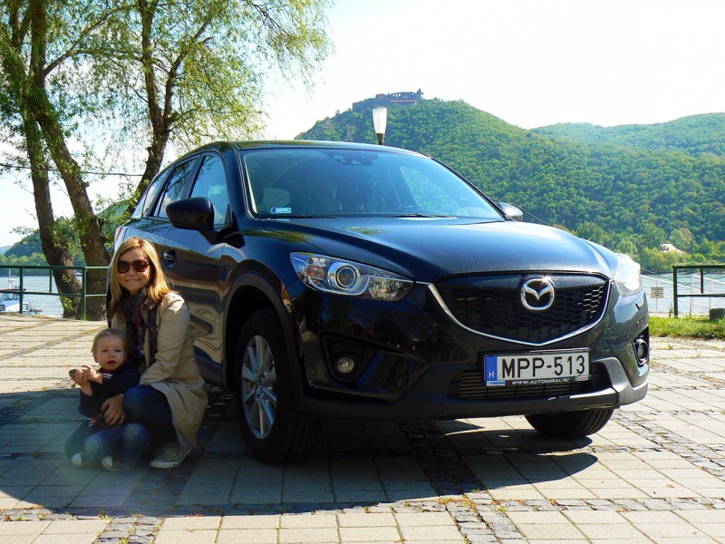 A családnak új kedvence van