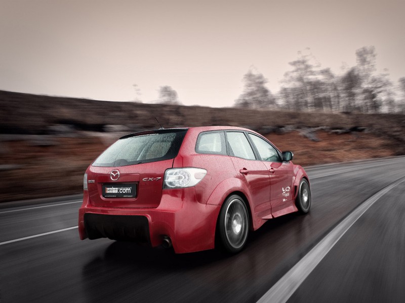 Az ültetést sem aprózták el