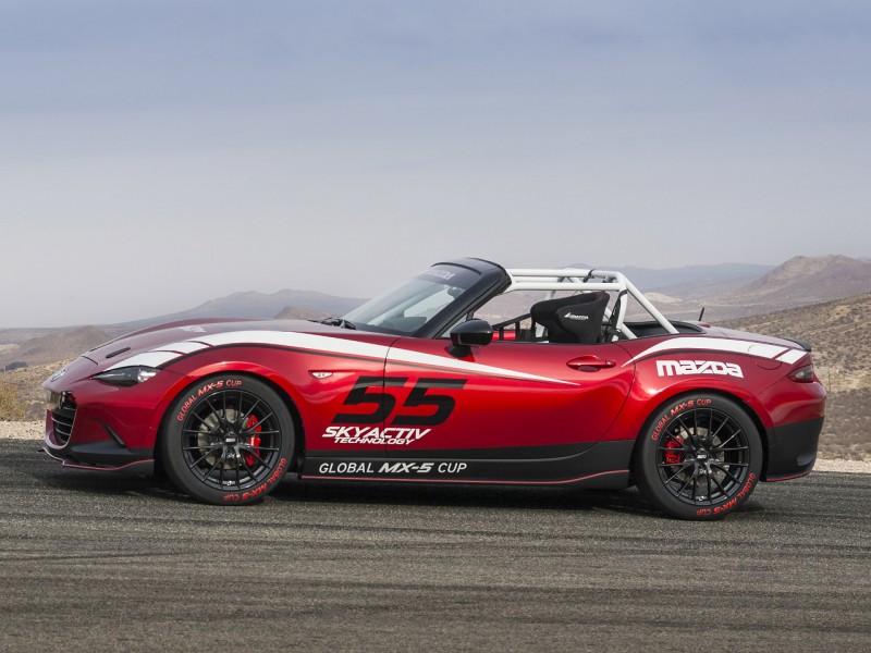 Remélhetőleg valamelyik televízió csatorna is lecsap a közvetítési jogokra